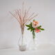 Lot de 2 vases