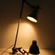 Gras lamp 201