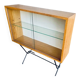 Hanging display case