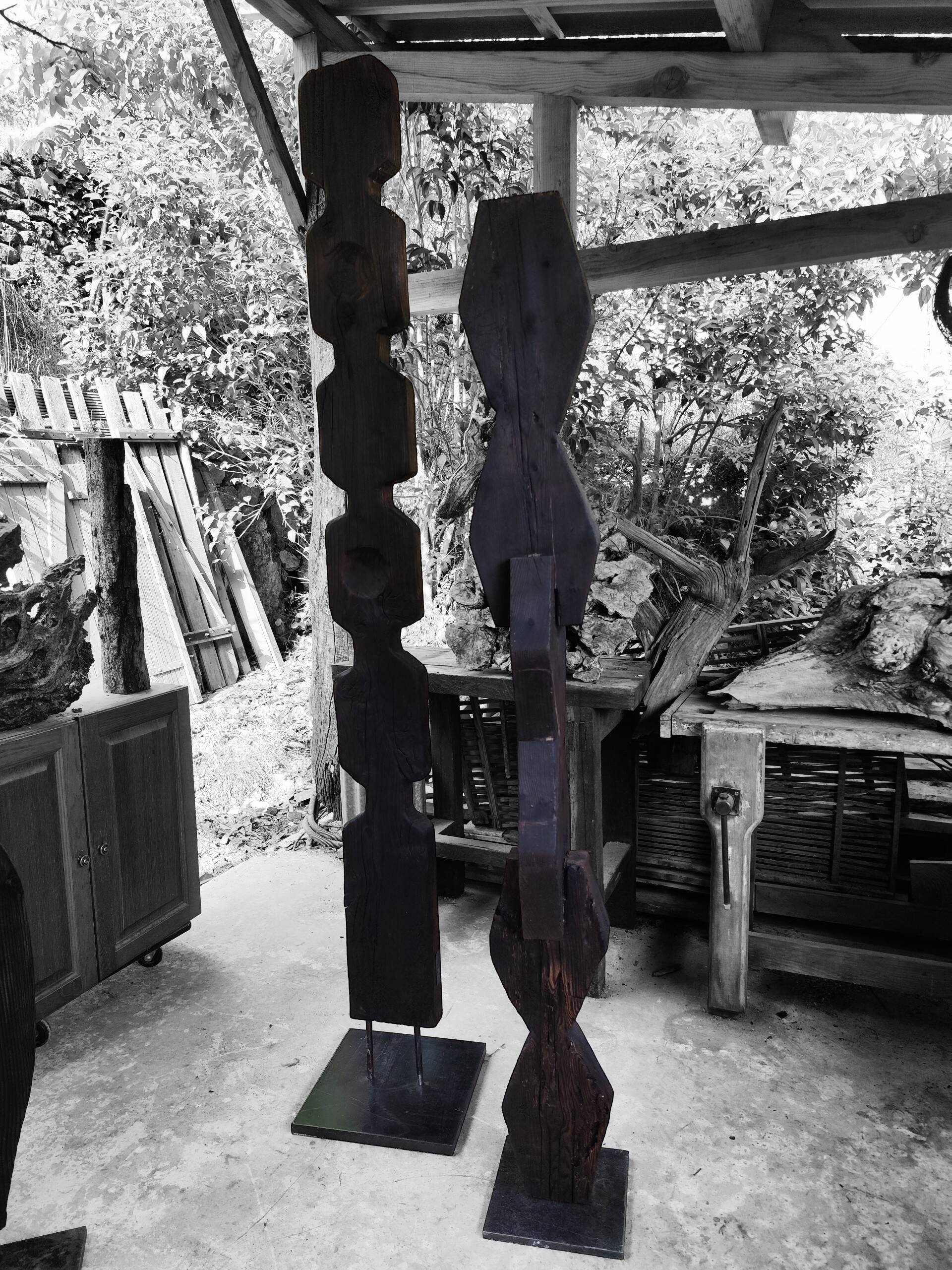 Totem "Axono"
