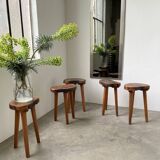 Set of 5 olive tree tripod stools from the 50s