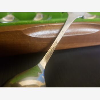 Sublime Box, Dessert Spoon in Massive Silver, Flower Decoration, Signed J.P