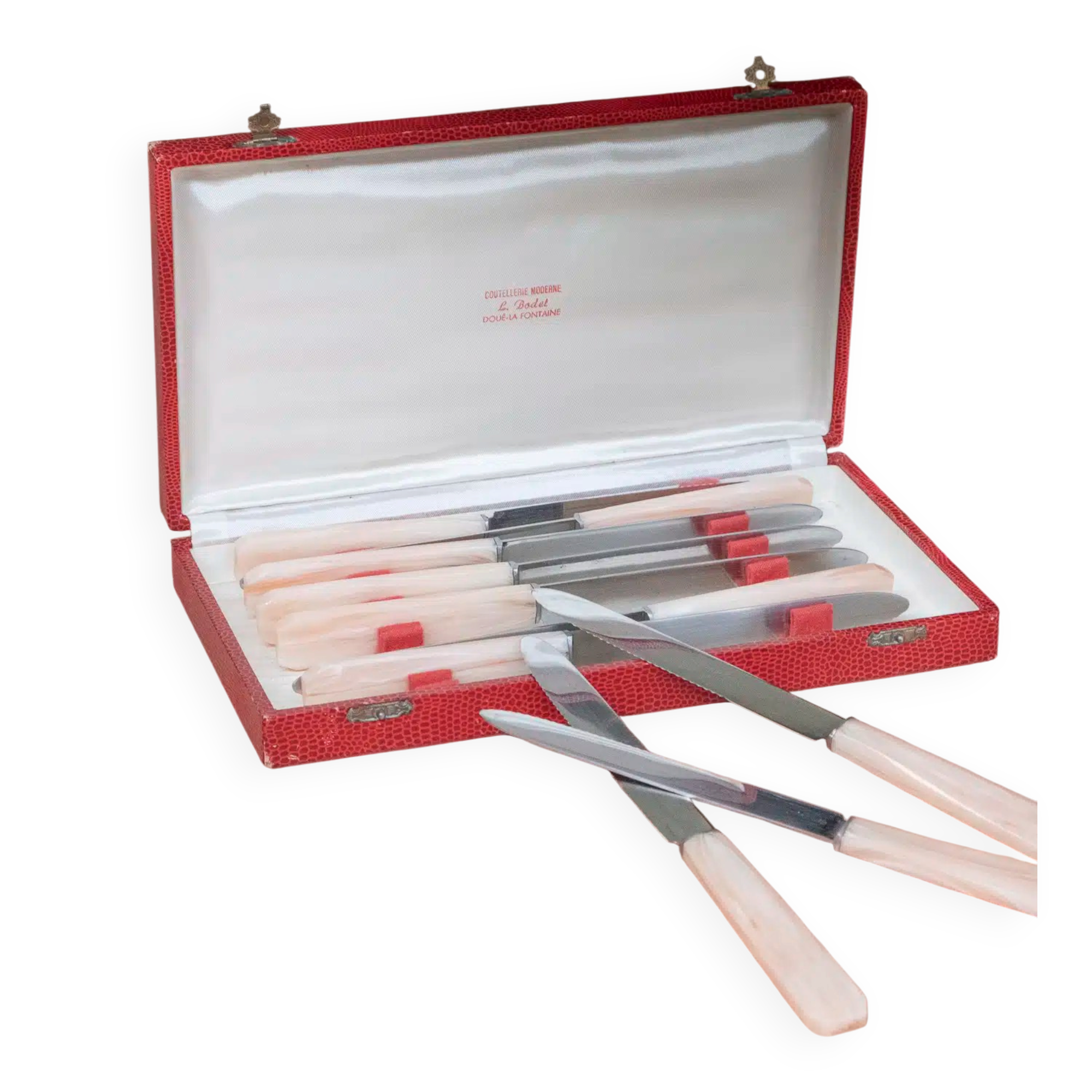Set of 10 knives in "Églantine" box