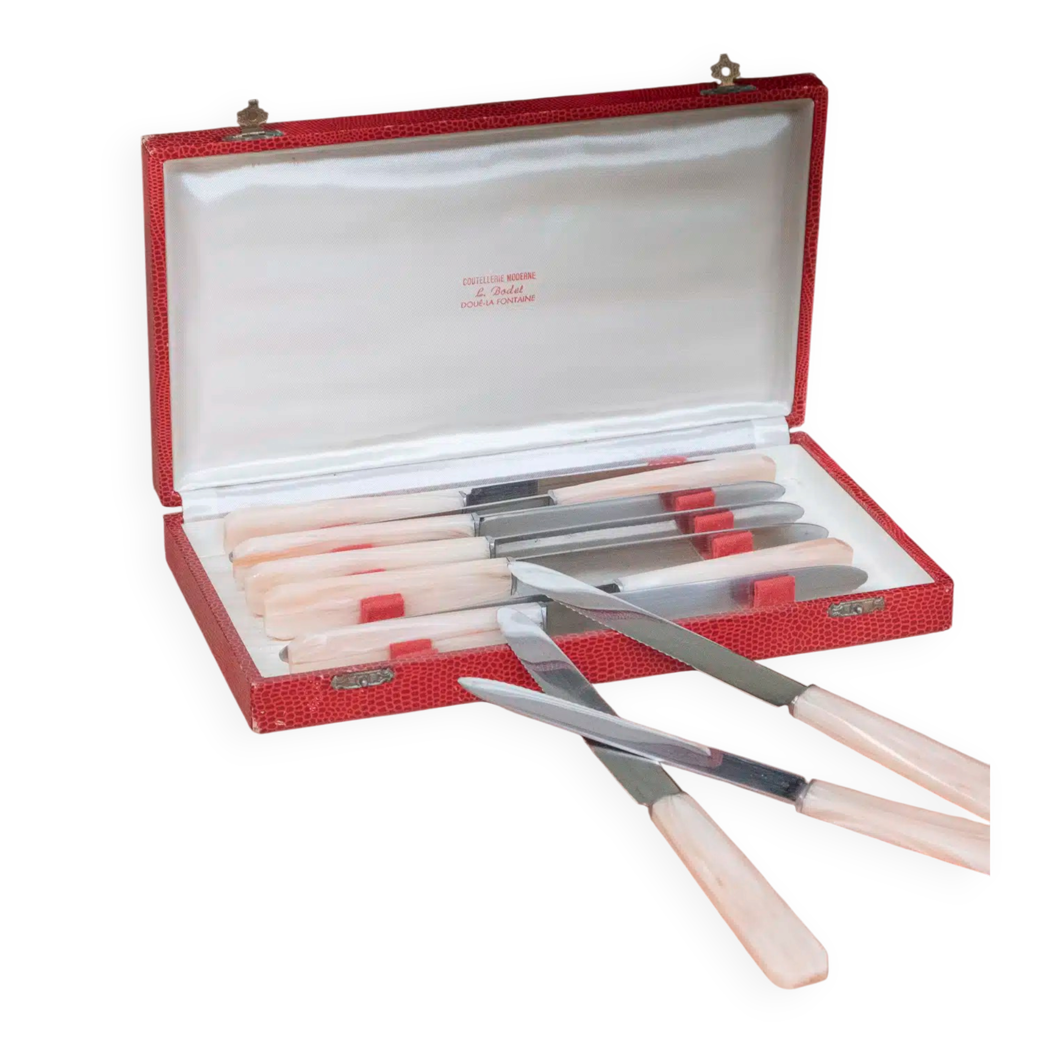 Set of 10 knives in "Églantine" box