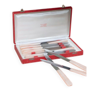 Set of 10 knives in "Églantine" box