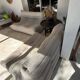 Fauteuil 2 places toggo