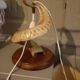 Vintage ram's horn living room lamp
