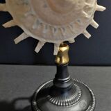 Cabinet of Curiosities stellaria solaris shell on base