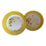 Two dishes Salins - Senlis model