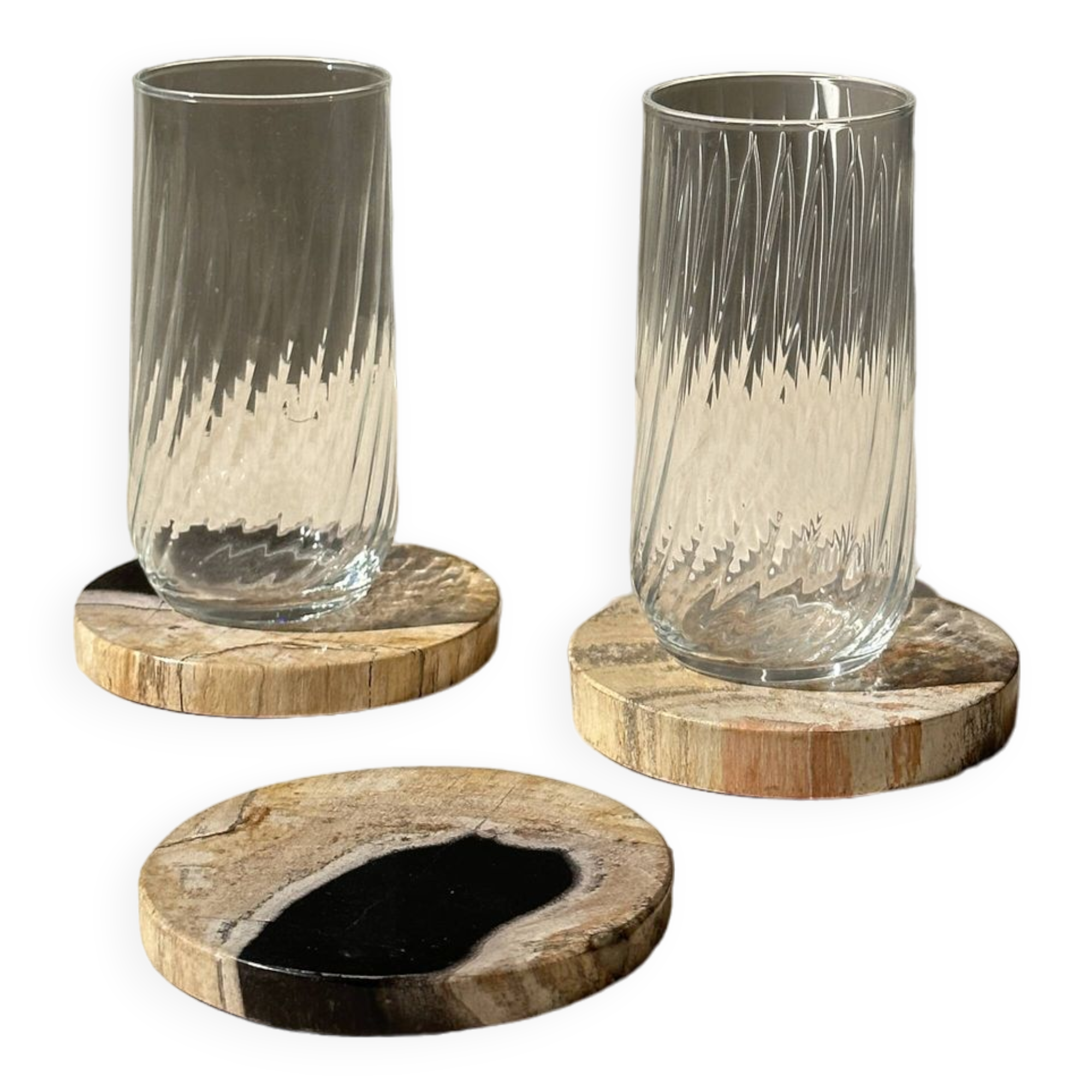 Set of 3 fossilized wood coasters (clear)