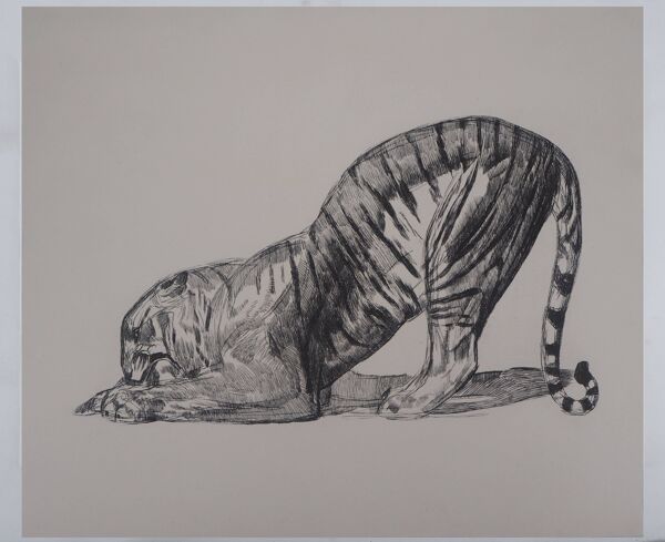 Paul Jouve : Tigre sur sa proie, gravure originale