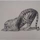 Paul Jouve: Tiger on its prey, original engraving