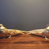Pair of golden pheasants