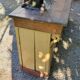 Former grocery counter from the 1900s 14 drawers