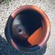 Verified sandstone jar