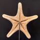 Natural starfish on marble base old cabinet of curiosities vintage shell