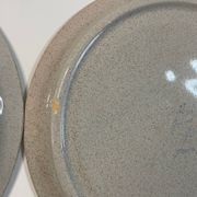 12 vintage Hollandia sarreguemine plates