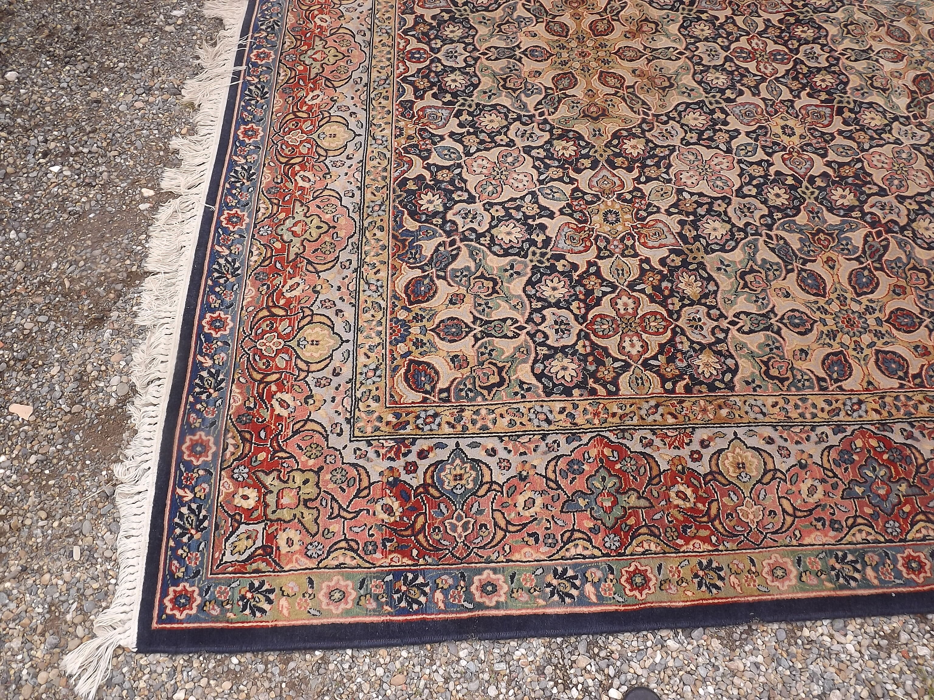 Woolmark rug pure Virgin wool 236 by 330