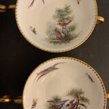 4 cups in fine Haviland porcelain