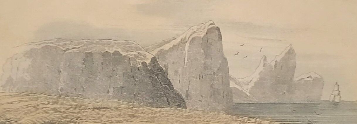 Original zoological plate of 1839 " geometric turtle"