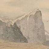 Original zoological plate of 1839 " geometric turtle"