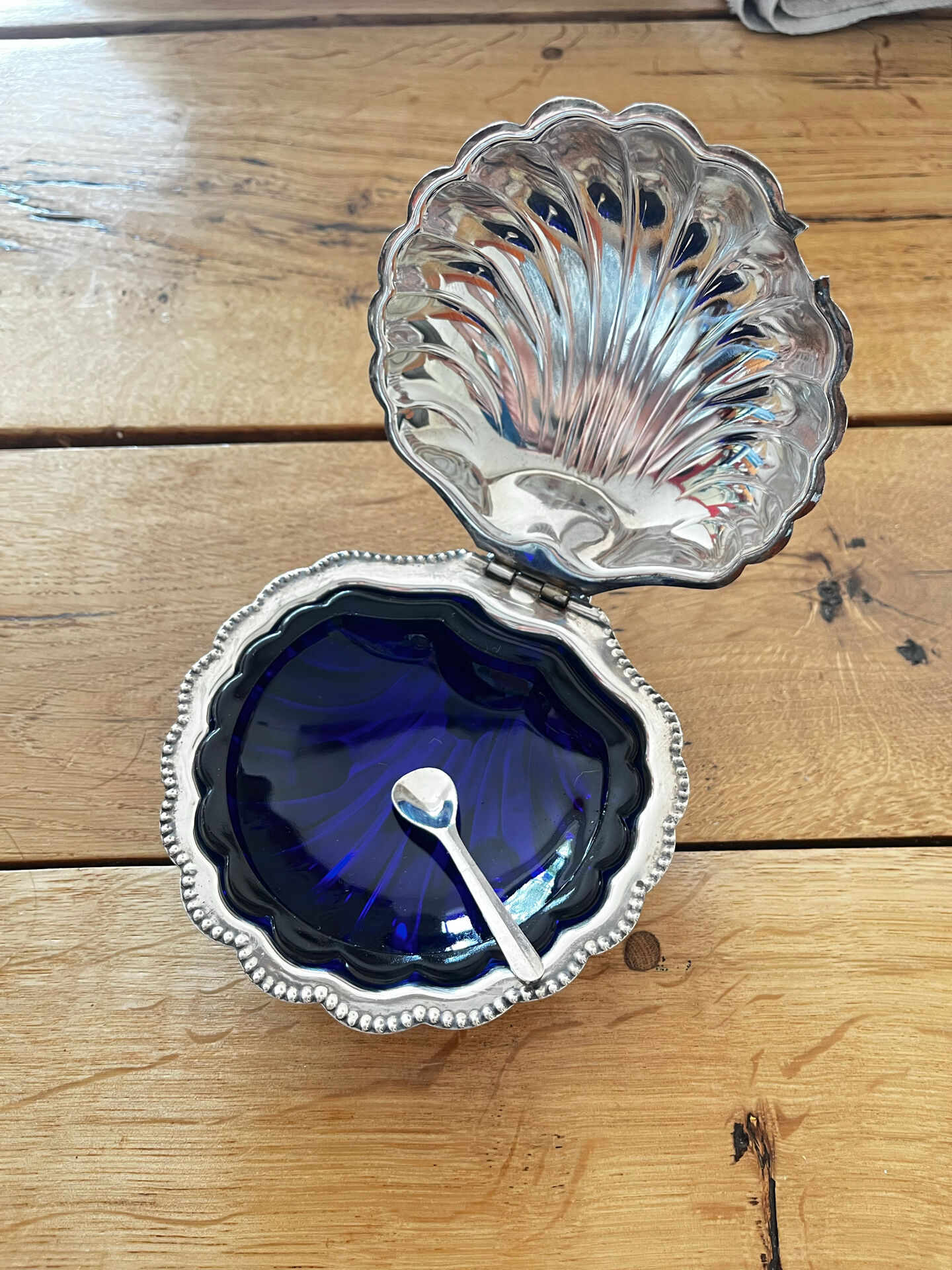Shell butter dish