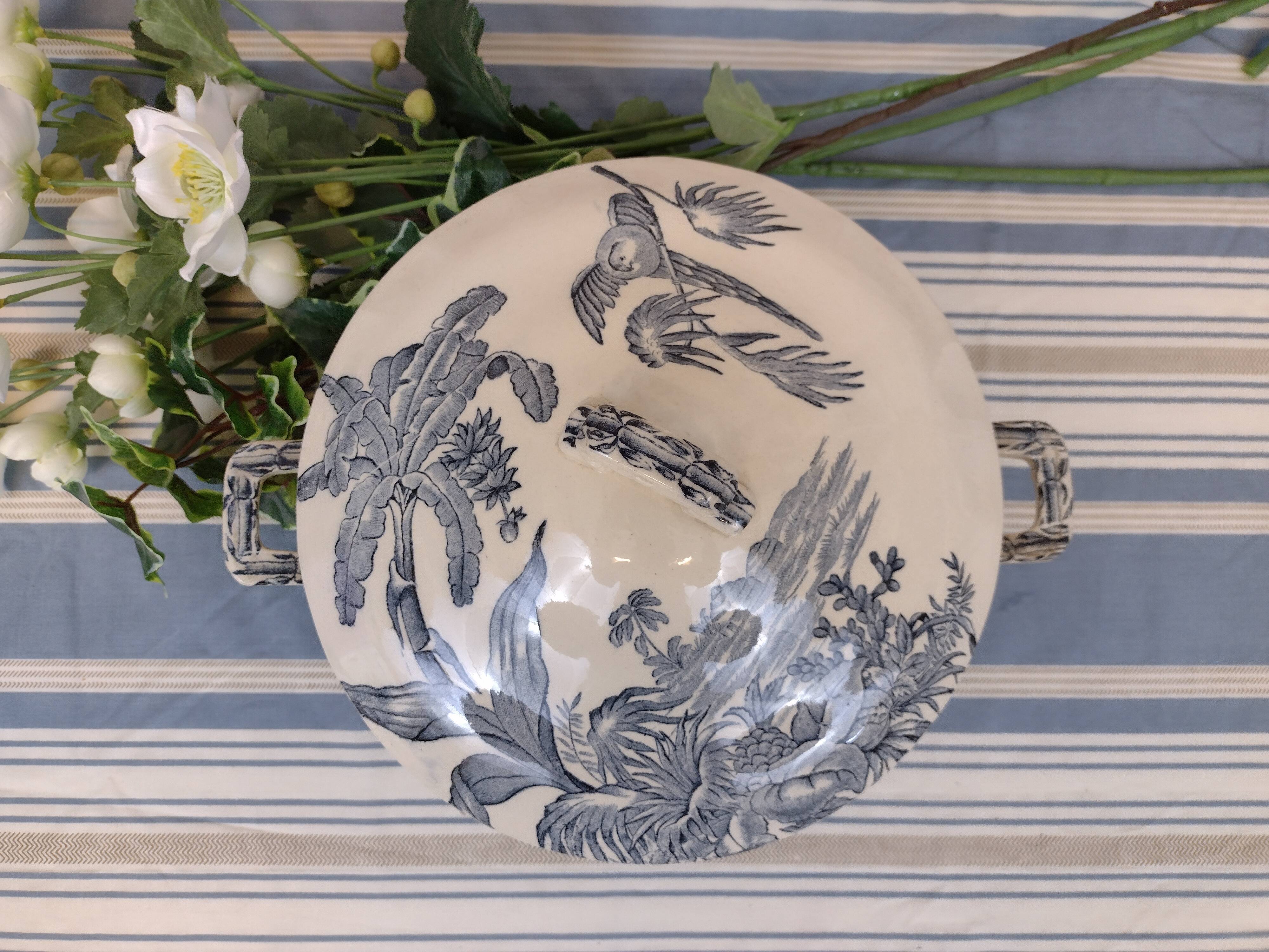 soup bowl longchamp exotic model