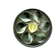 Saint Clément oyster plate, ceramic