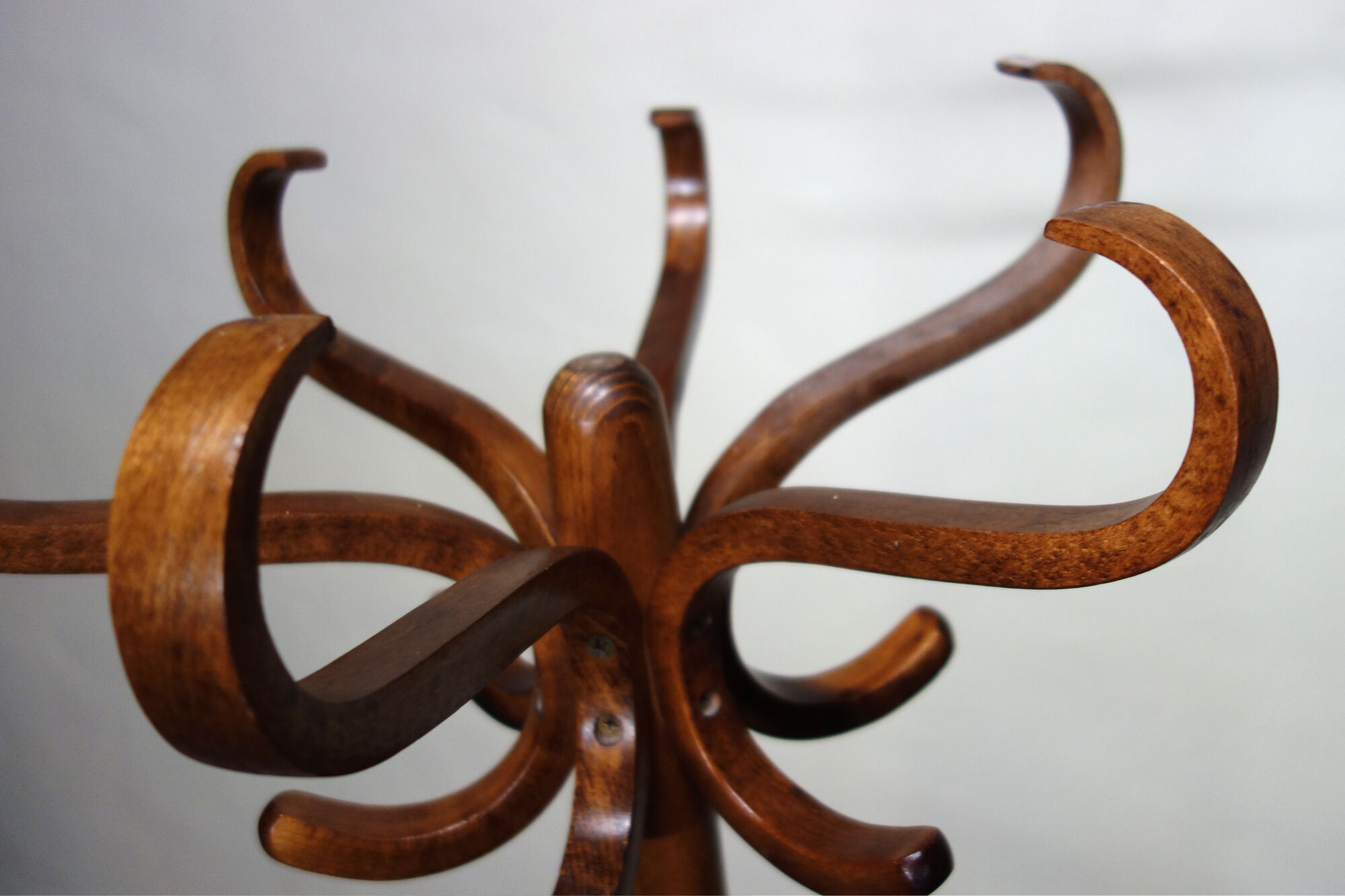 Vintage parrot coat rack