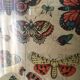 Naturalist butterfly poster, early 20th century