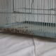 Ancienne cage à oiseaux