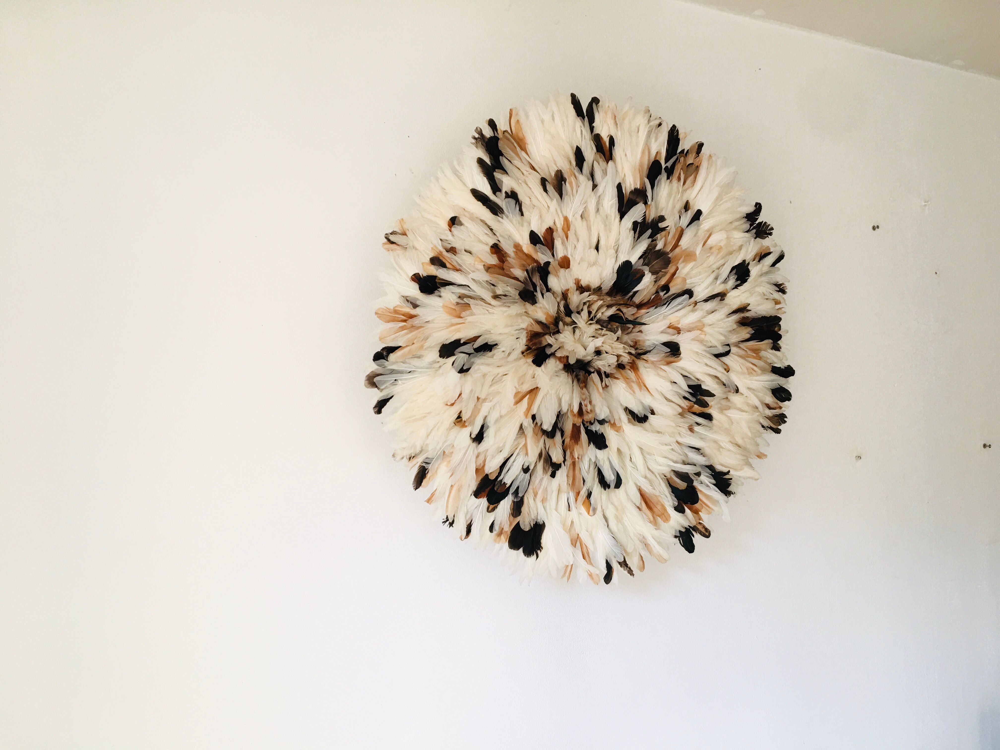 Speckled white jujuhat 75 cm