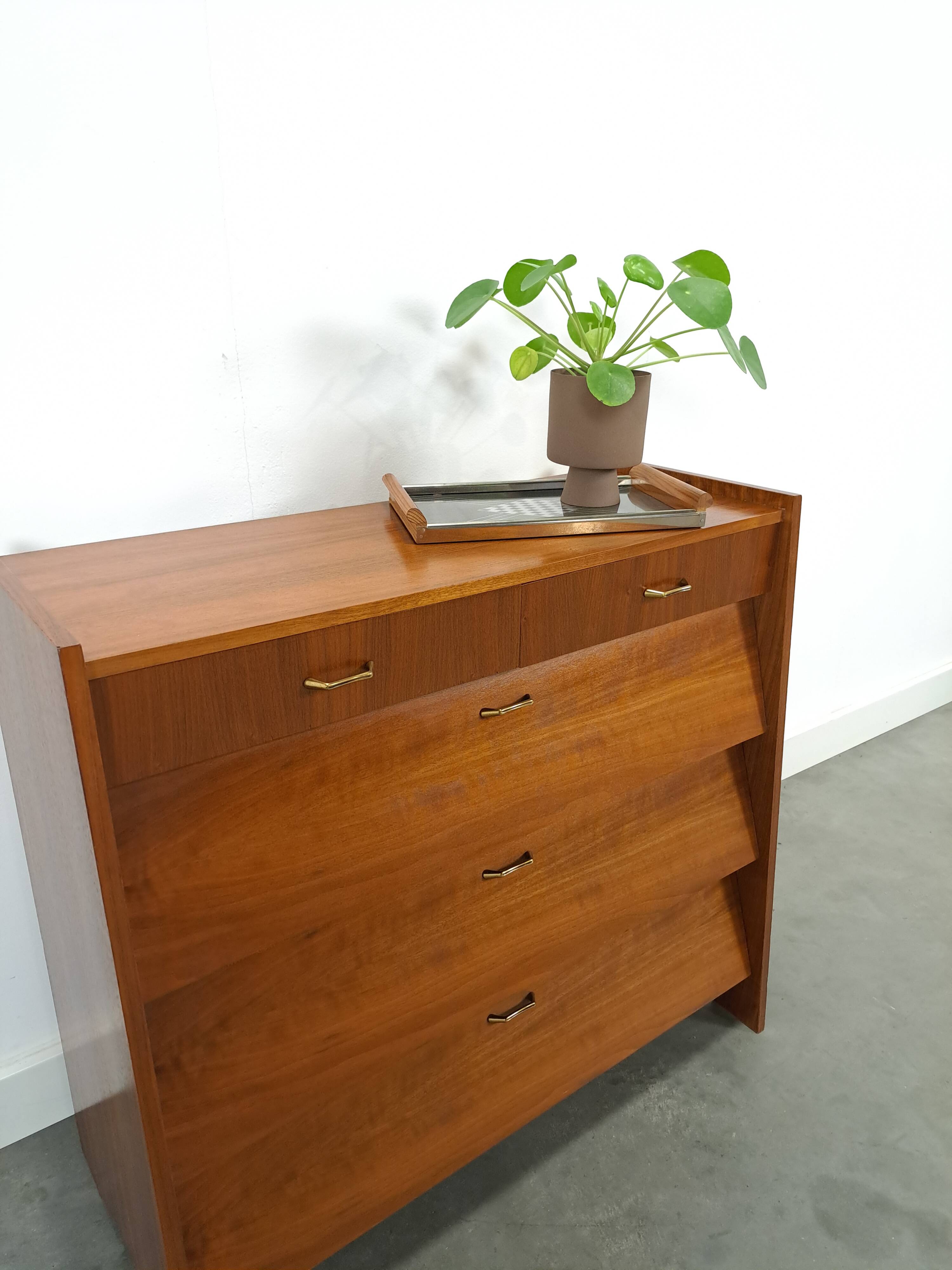 Fineer schoenenkast met lades