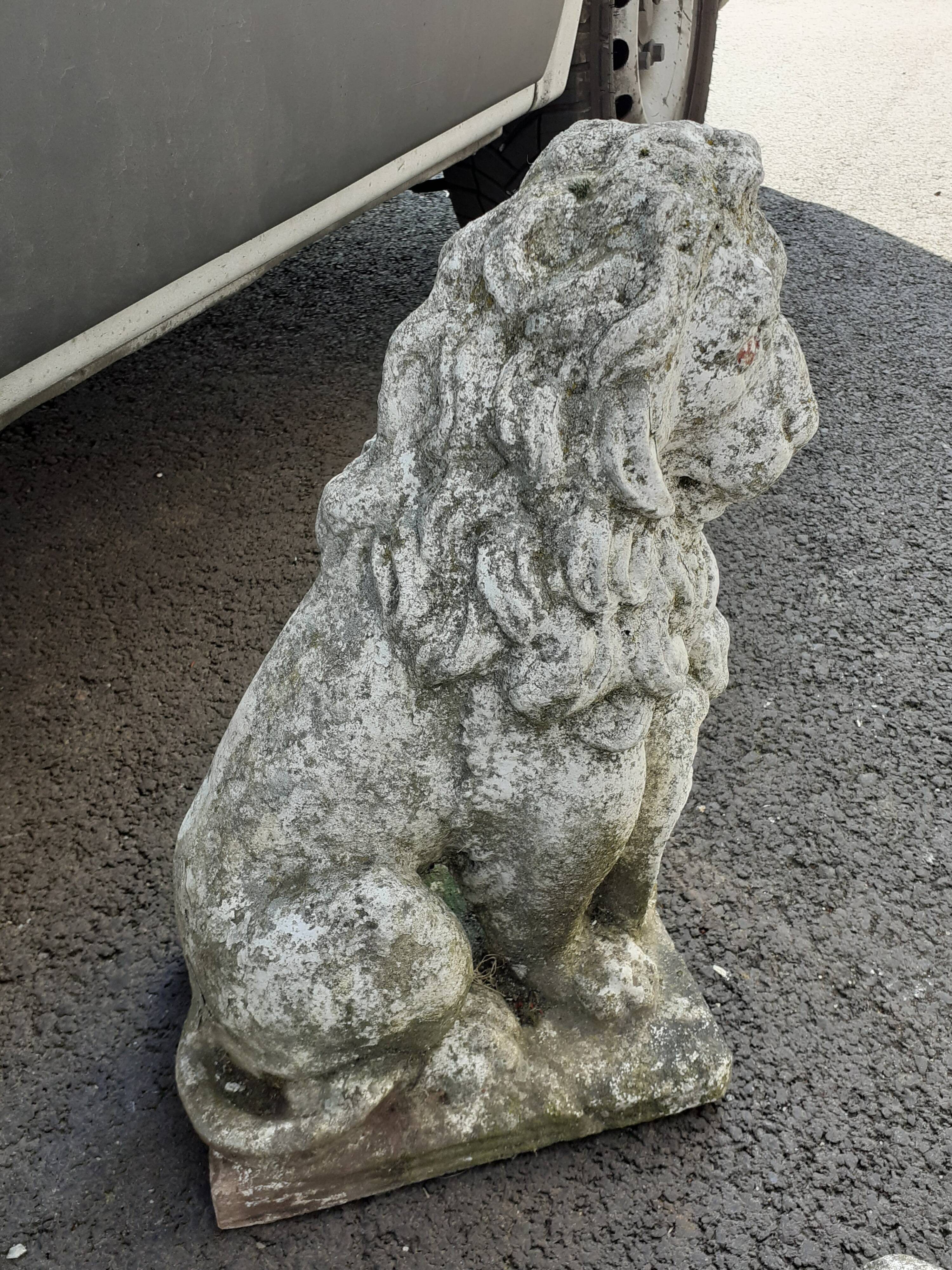 Vintage stone garden lions xxeme