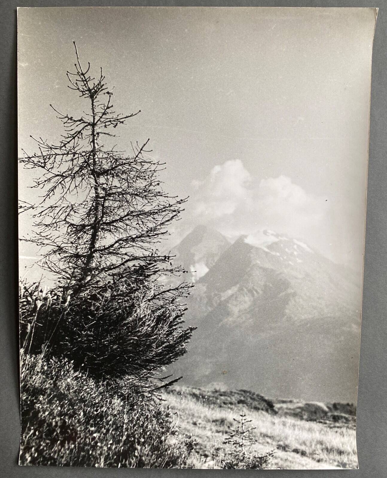 Silver gelatin photograph, Peaks, Bernard Darot, Nantes Photo Club