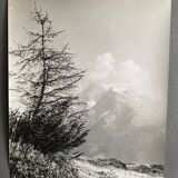 Silver gelatin photograph, Peaks, Bernard Darot, Nantes Photo Club