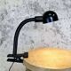 Vintage Flexible Clamp Desk Lamp