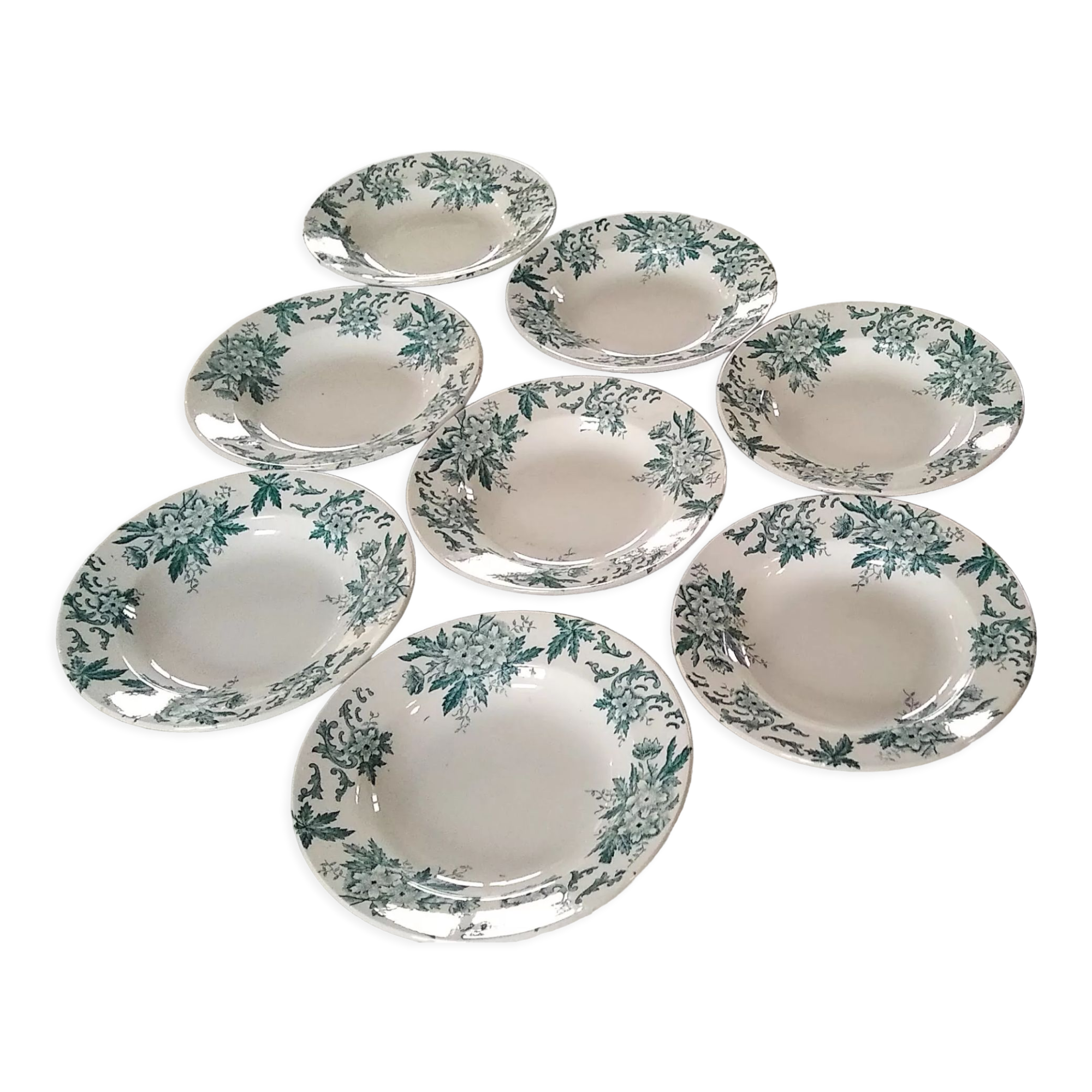 8 hollow plates Anemone pattern of St Amand green gray color