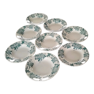 8 hollow plates Anemone pattern of St Amand green gray color