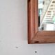 Ancien miroir entourage bois rustique