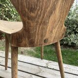 Chaises Fourmi Baumann