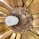 Vintage metal and bronze sunflower sculpture lamp, 1970s belgium