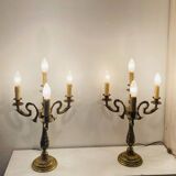 Large table lamps in solid bronze, decorated with acanthus leaves.
