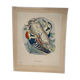 Ornithological plate J.G. Keulemans "Picus Leuconotus"