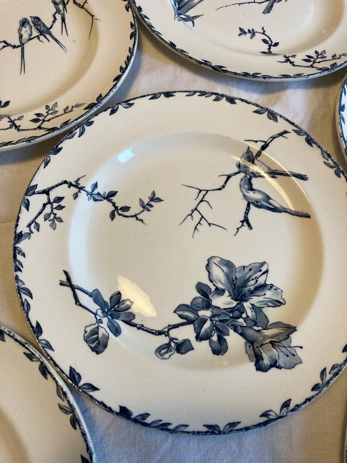 Flat iron plates Grand Dépôt Printemps Oxford