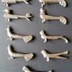 Set of 9 art deco animal knife holders