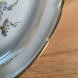 Service of 9 porcelain plates limoges
