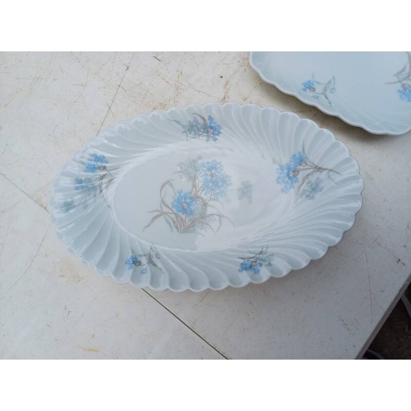Haviland Limoges porcelain dinnerware set