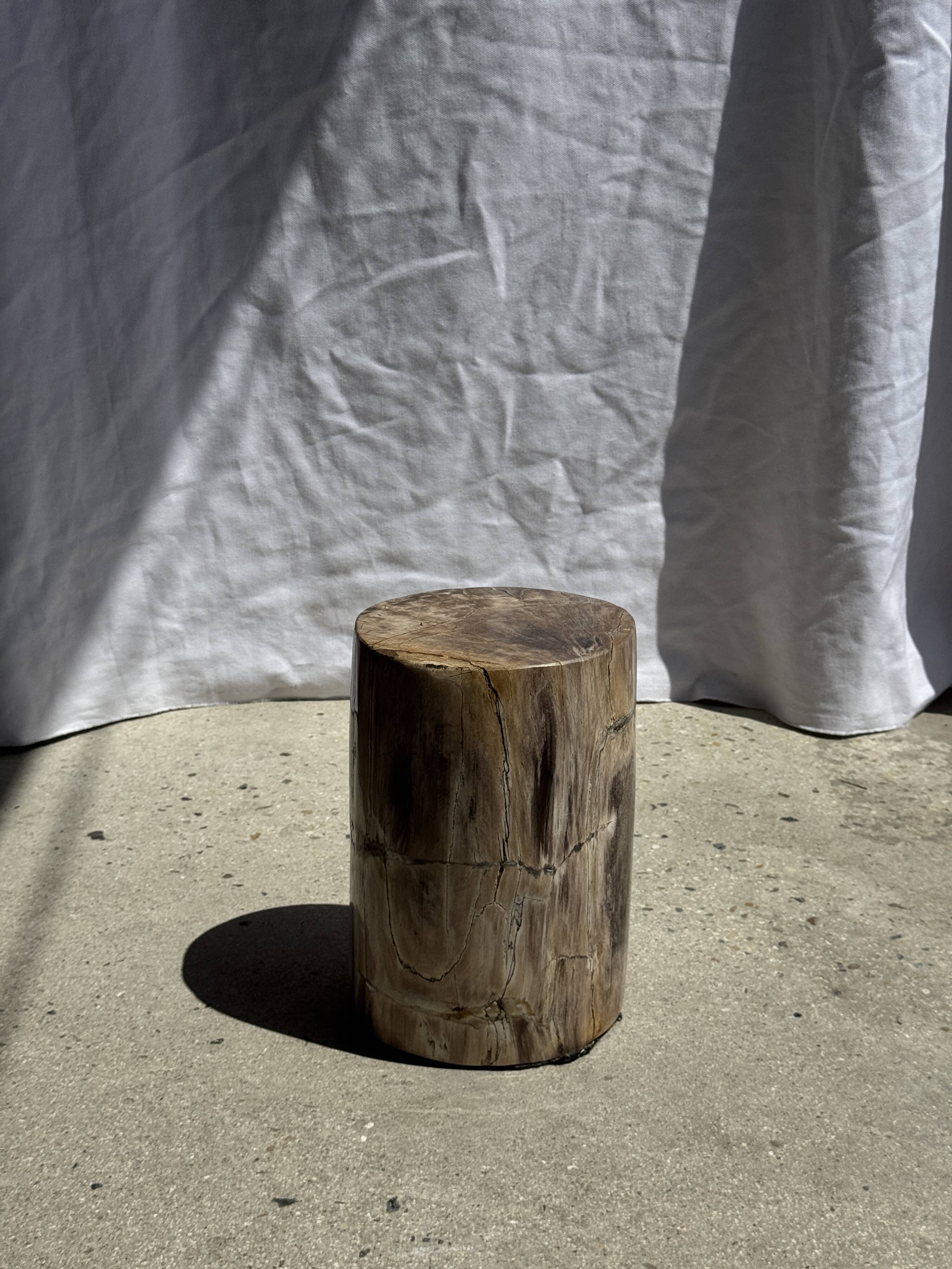 Petite table d'appoint en bois pétrifié beige gris H28 D18 - 3325