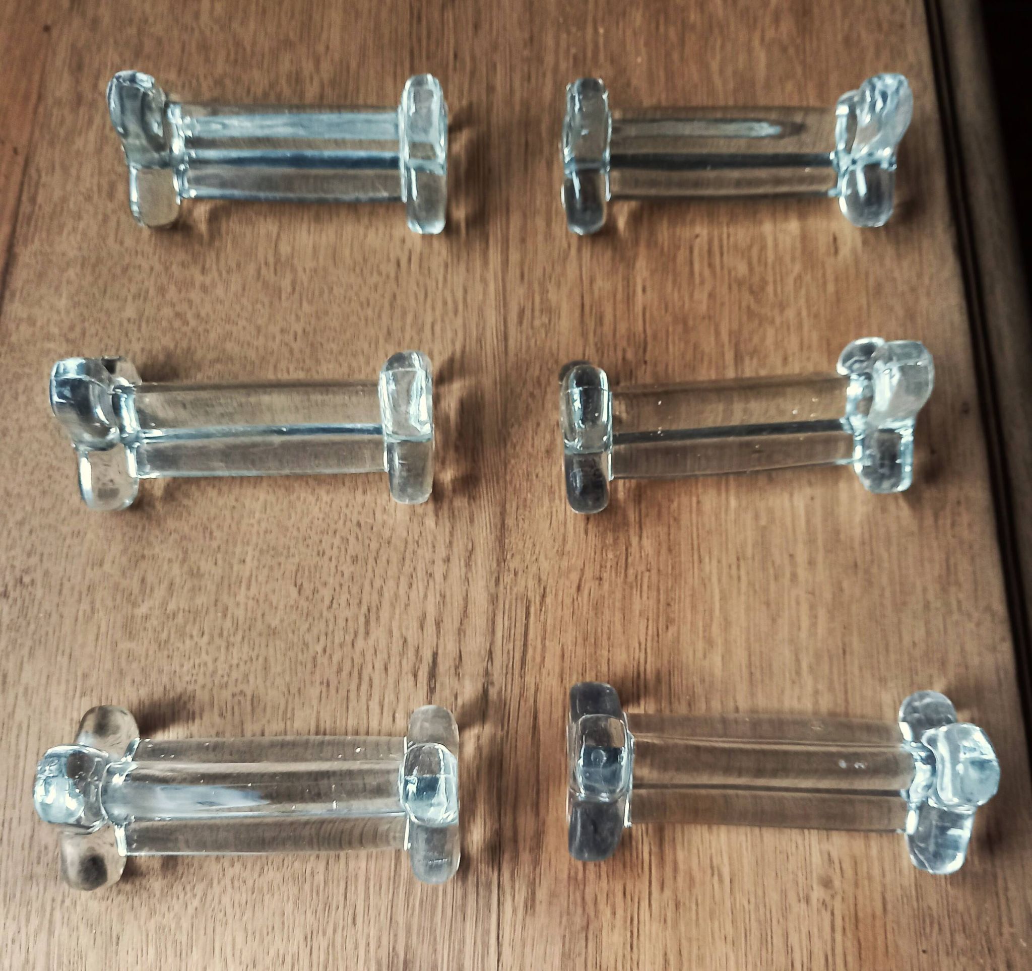A set of 6 transparent trilobite glass knife rests.